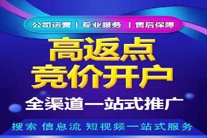 SEM托管实战案例：揭秘高效广告投放秘诀
